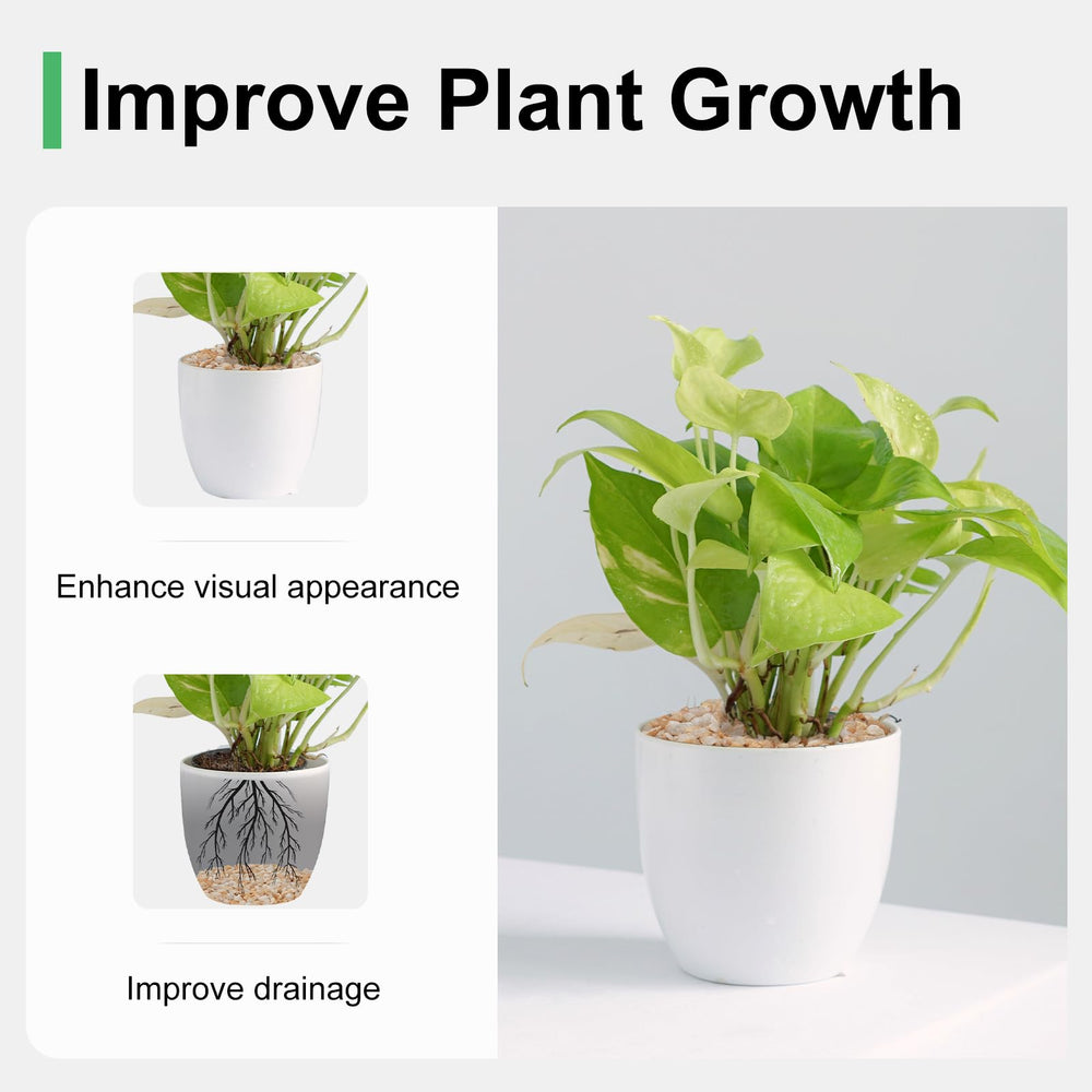 Pulovin dans pot succulente améliorant drainage et apparence