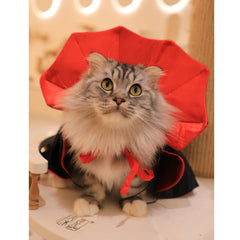 Puoyis gros plan satin doux illustrant confort et texture lisse