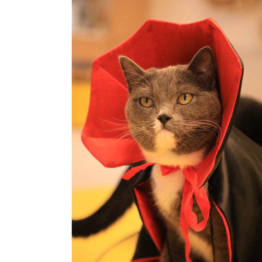 Puoyis mise en scène photo festive mettant en valeur look Halloween