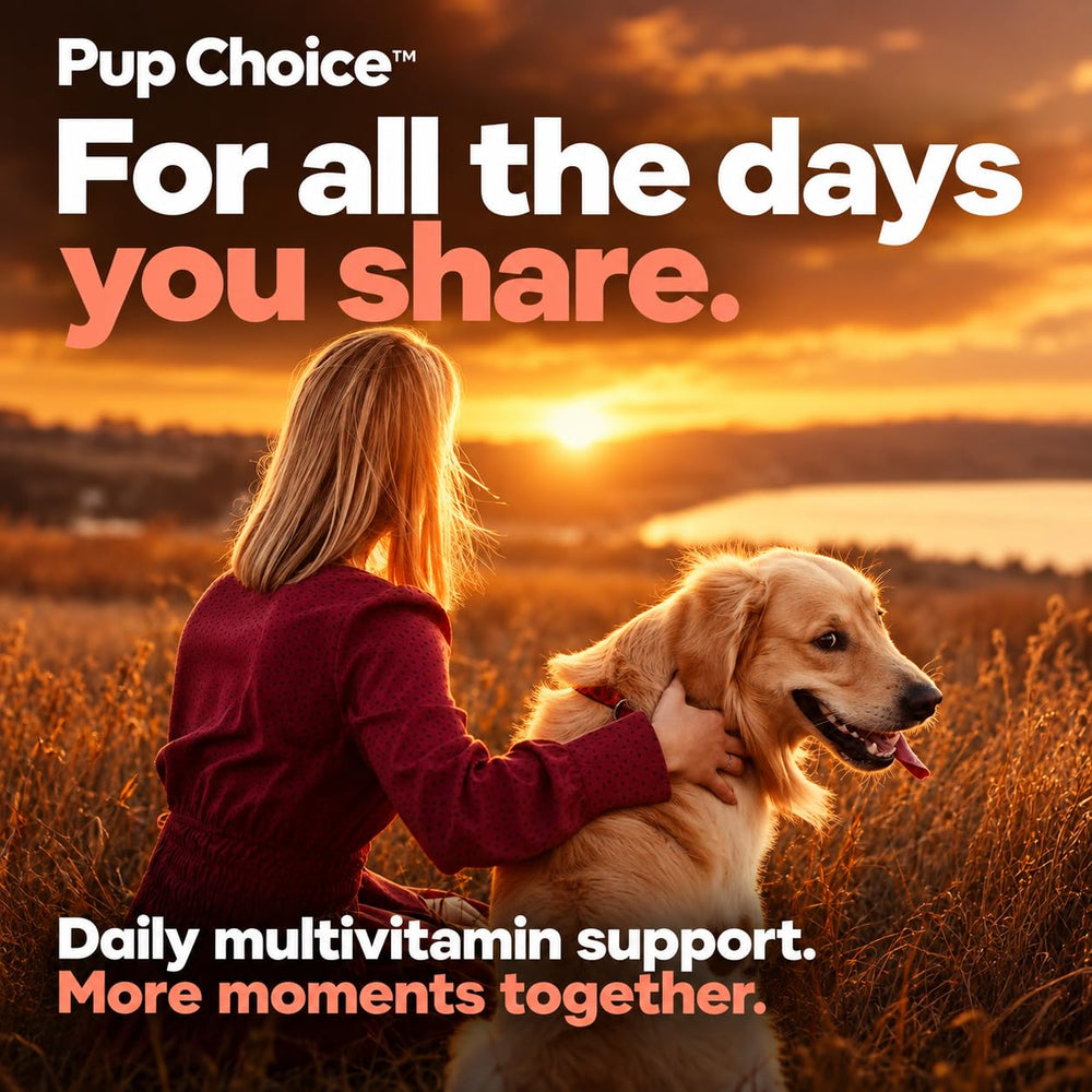 Pup Choice mention made in USA sur l’étiquette garantissant fabrication locale