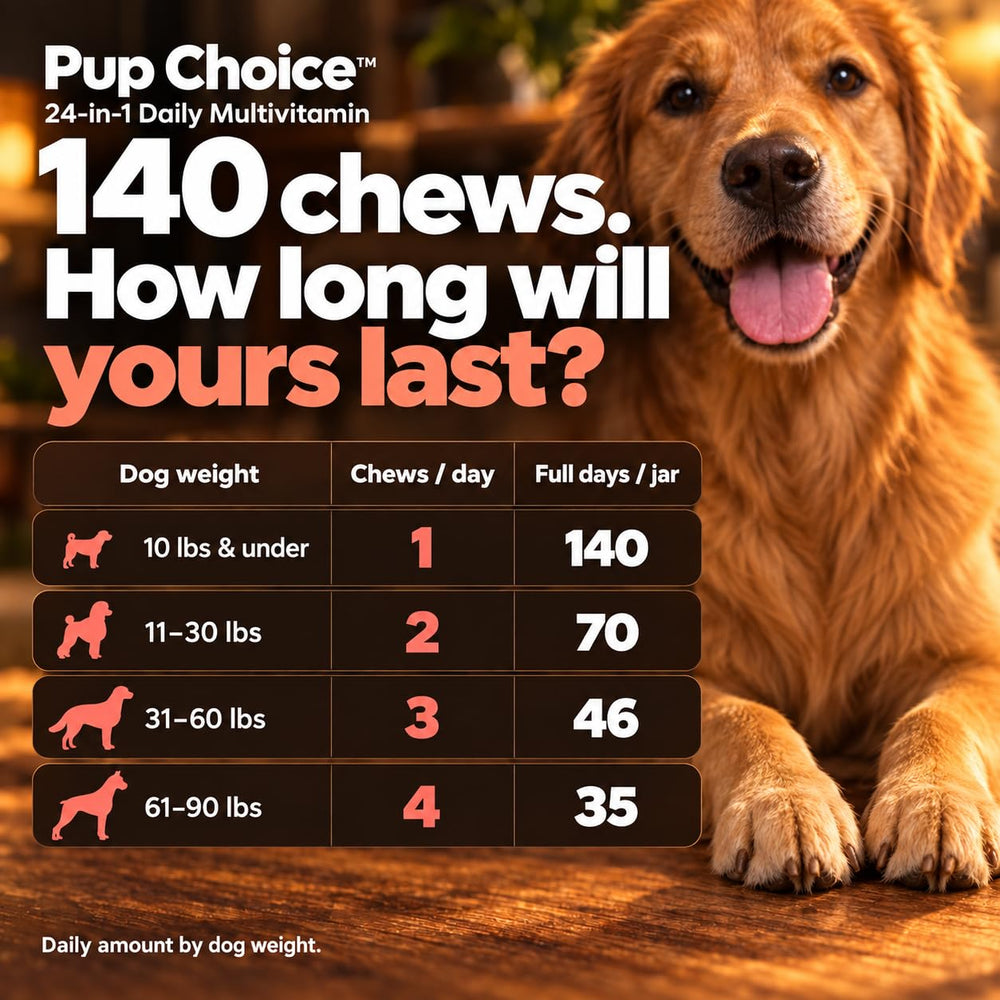 Pup Choice coupe transversale du chew révélant la texture intérieure