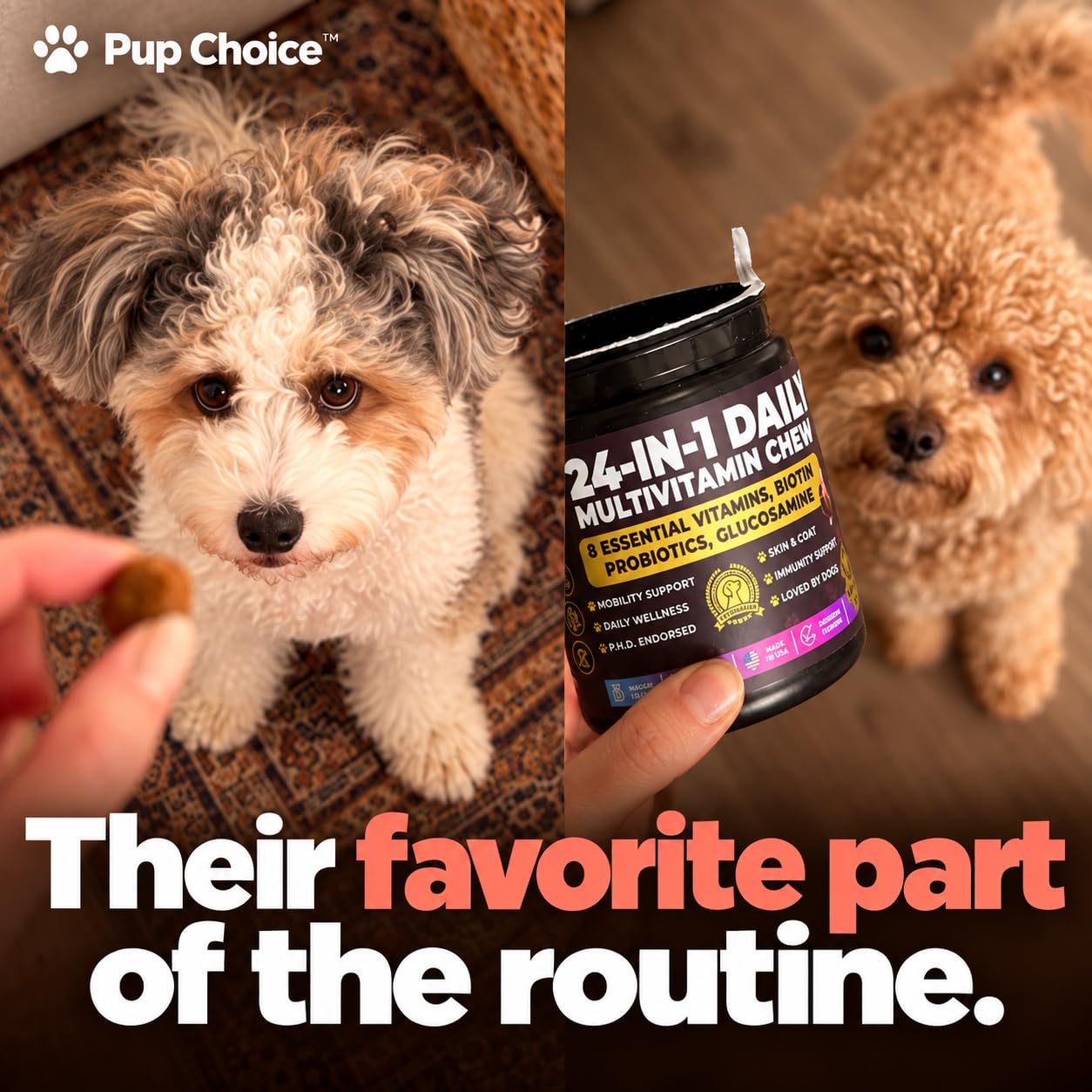 Pup Choice chien prenant une friandise en intérieur pour administration facile