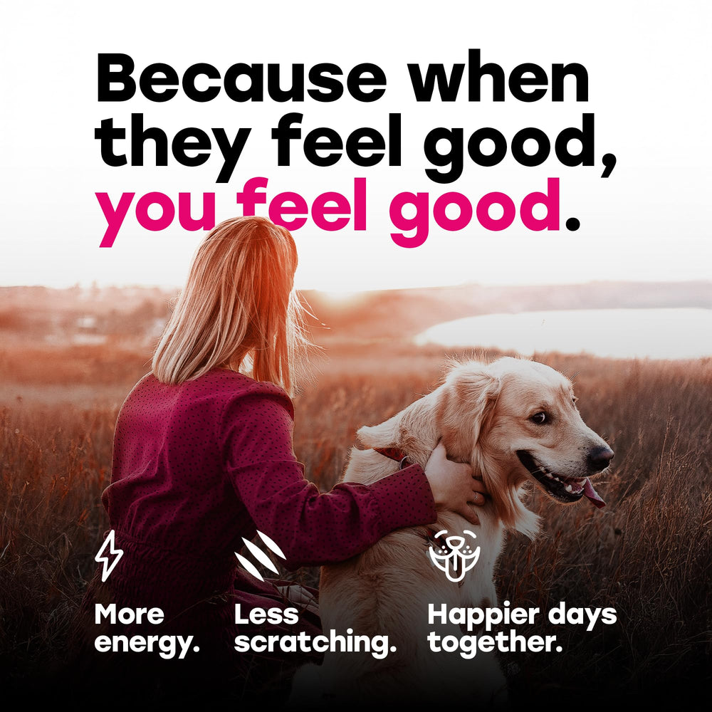 Pup Choice chiens qui mangent chews, goût bacon encourage prise régulière