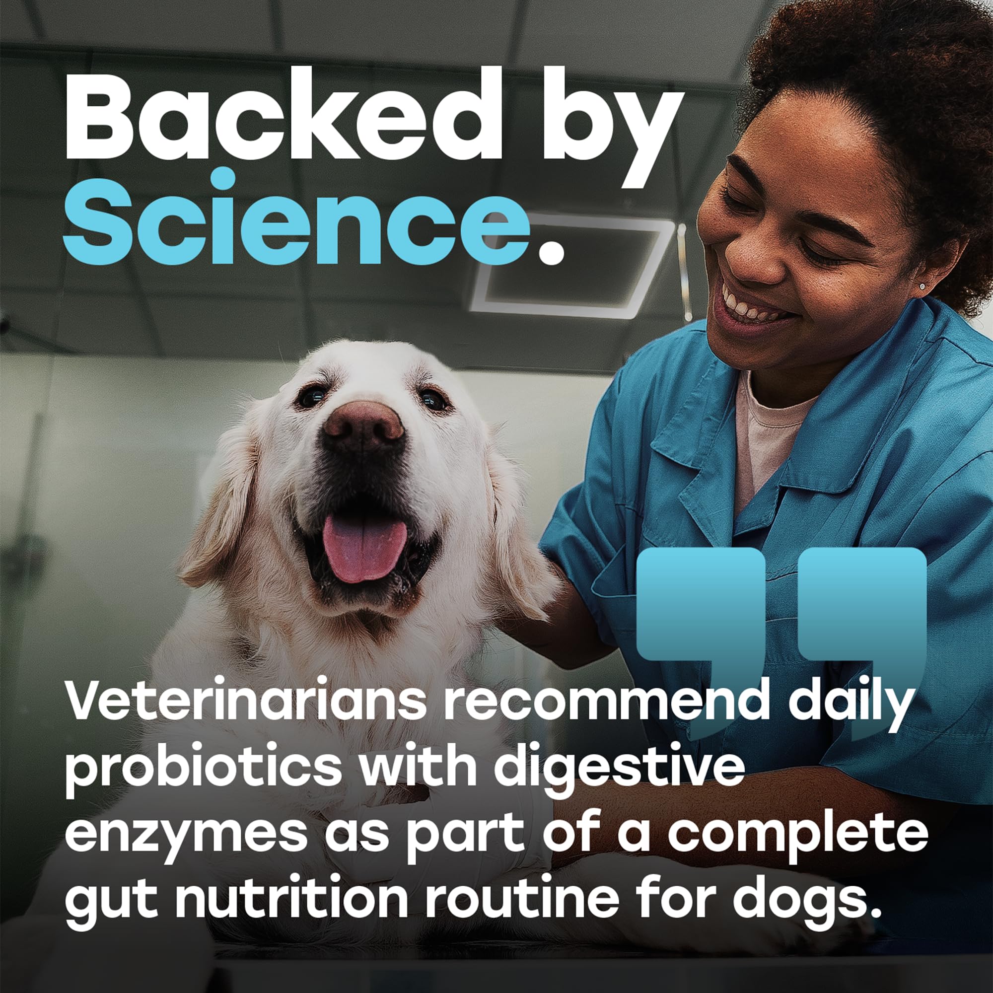 Étiquette Pup Choice montrant liste d'ingrédients et souches probiotiques