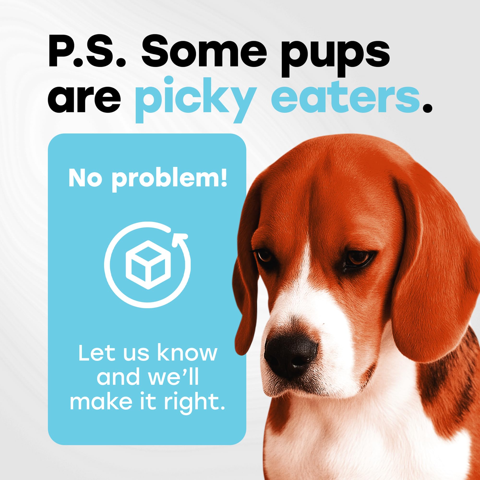 Mise en scène en cuisine avec Pup Choice, intégration facile dans la routine quotidienne