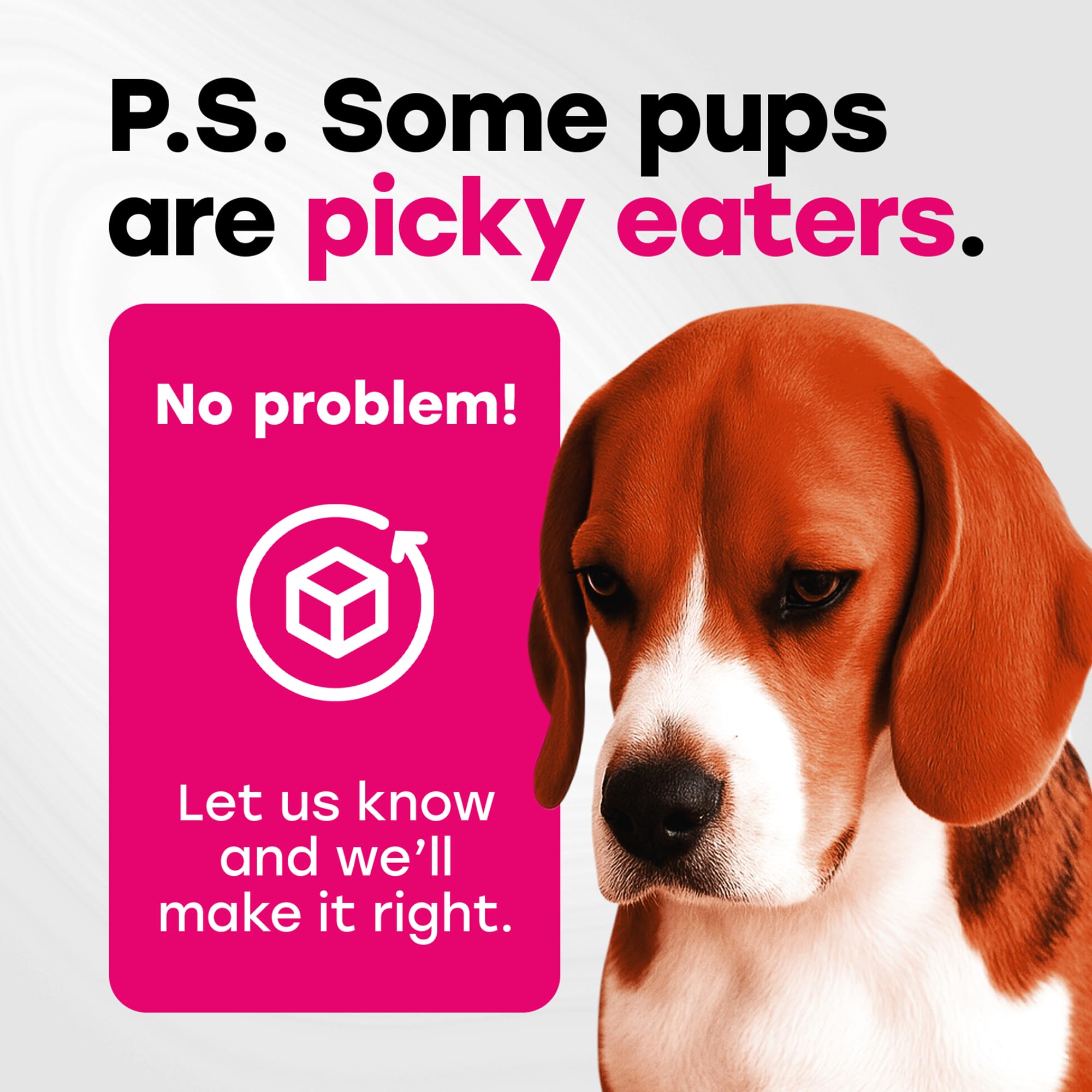 Pup Choice style de vie cuisine pot posé près gamelle, intégration facile routine