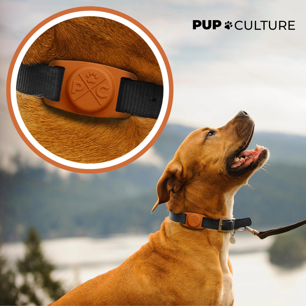 Pup Culture gros plan silicone montrant protection antichoc et souplesse