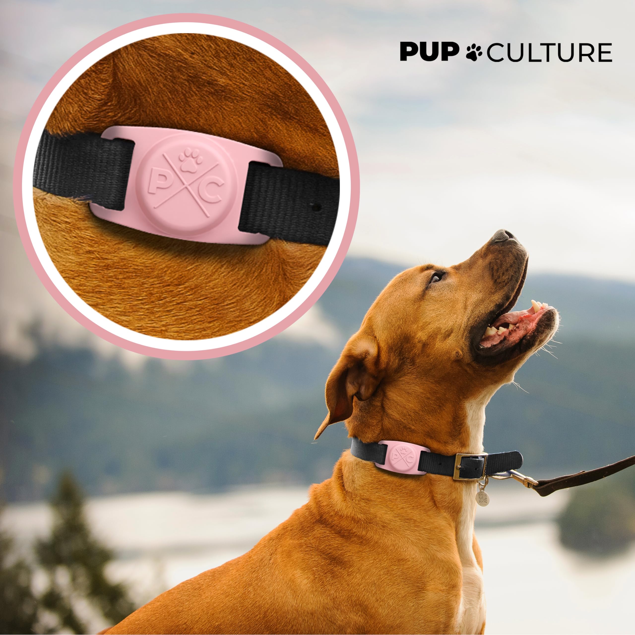Pup Culture gros plan texture en silicone montrant résistance