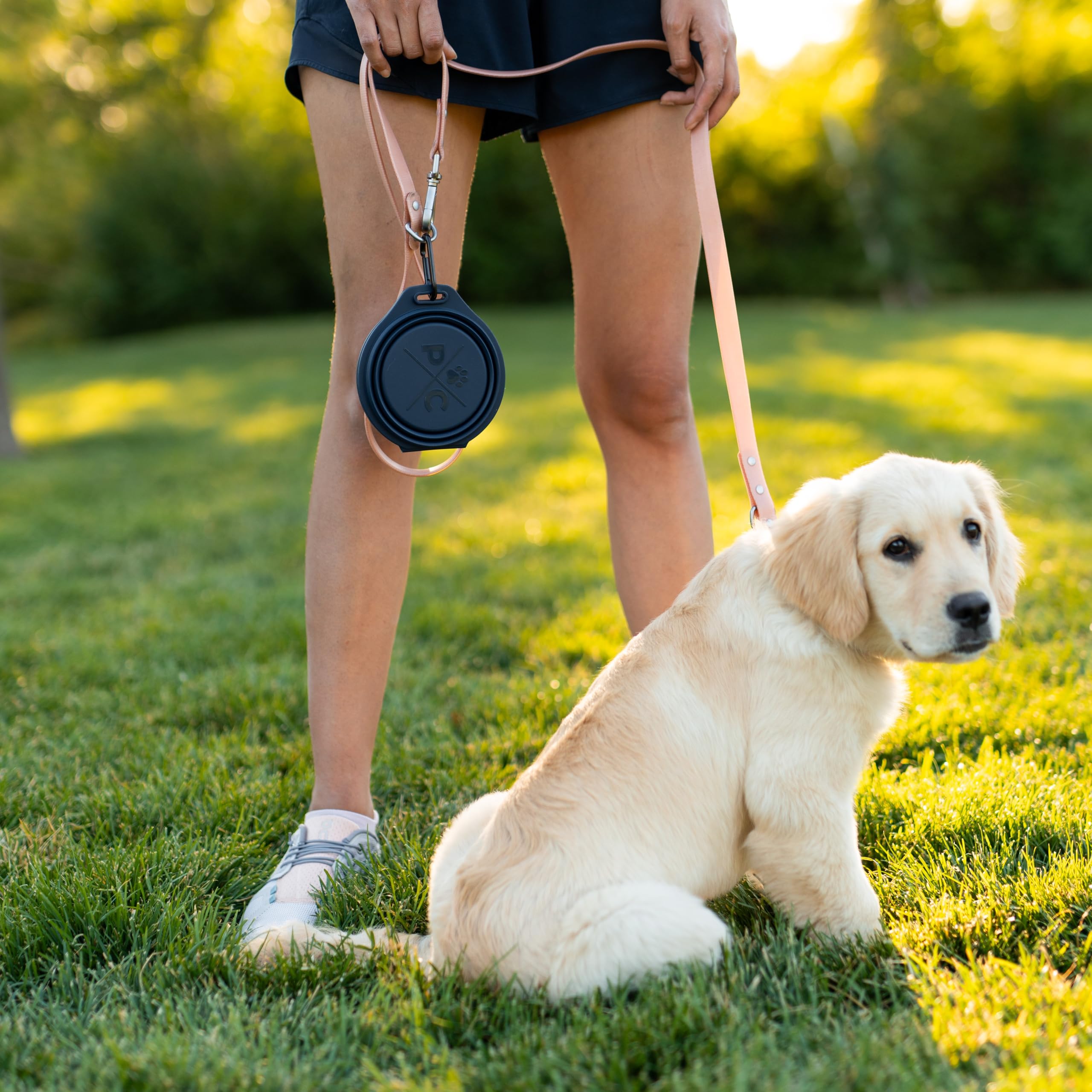 Pup Culture comparaison de taille illustrant l'adaptabilité pour plusieurs chiens