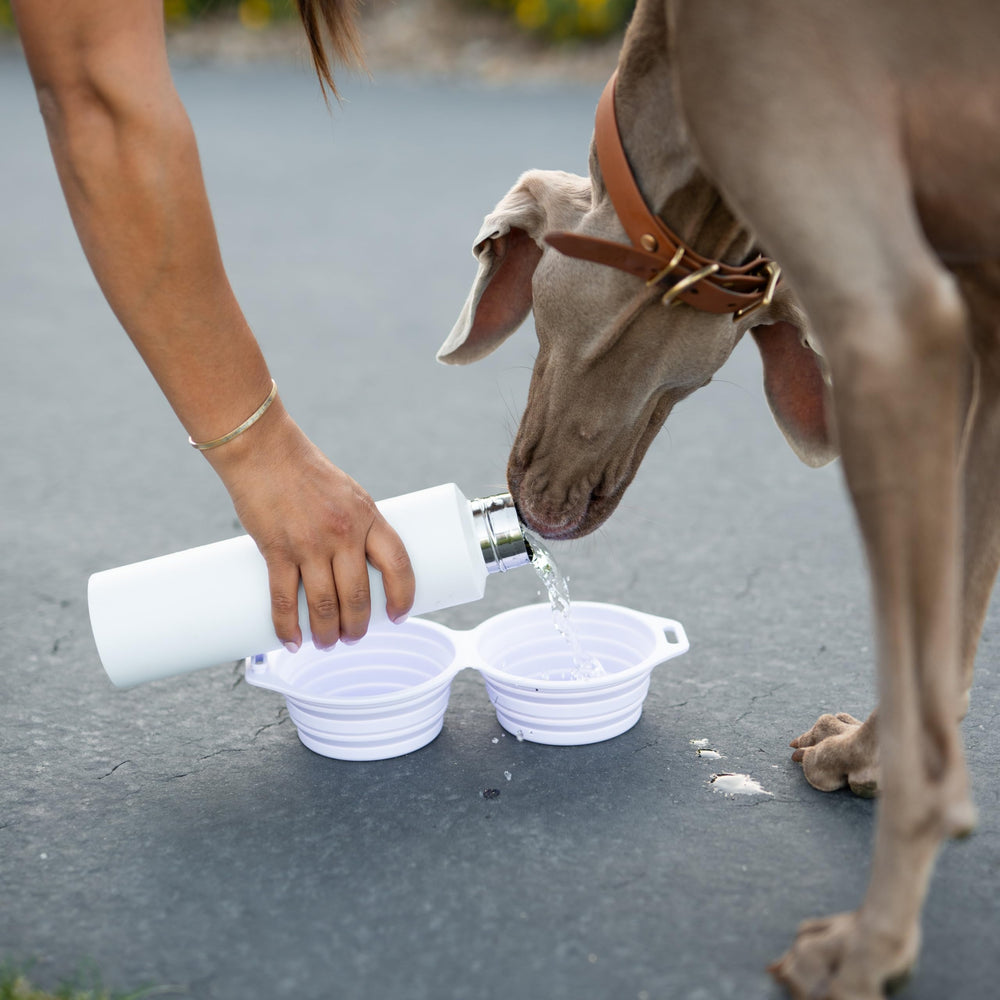 Pup Culture deux gamelles côte à côte pour eau et nourriture pratique