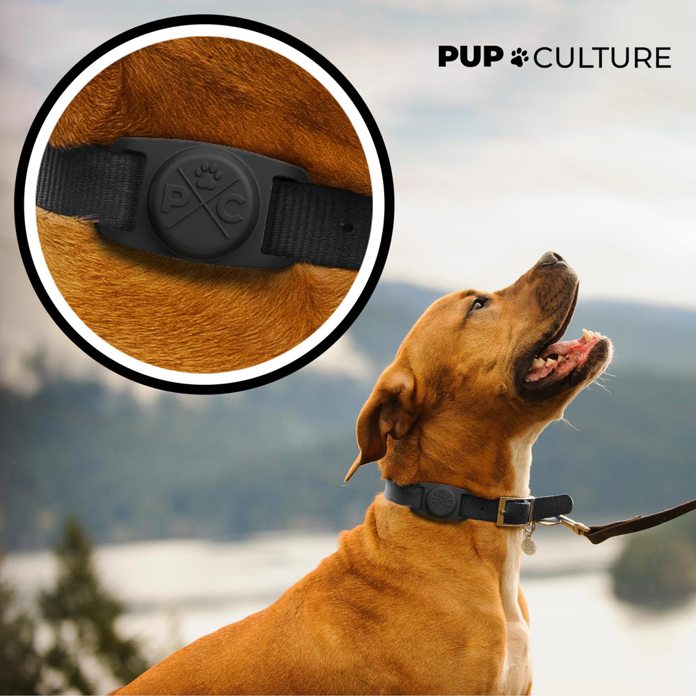 Pup Culture gros plan de la texture en silicone, protection contre les chocs
