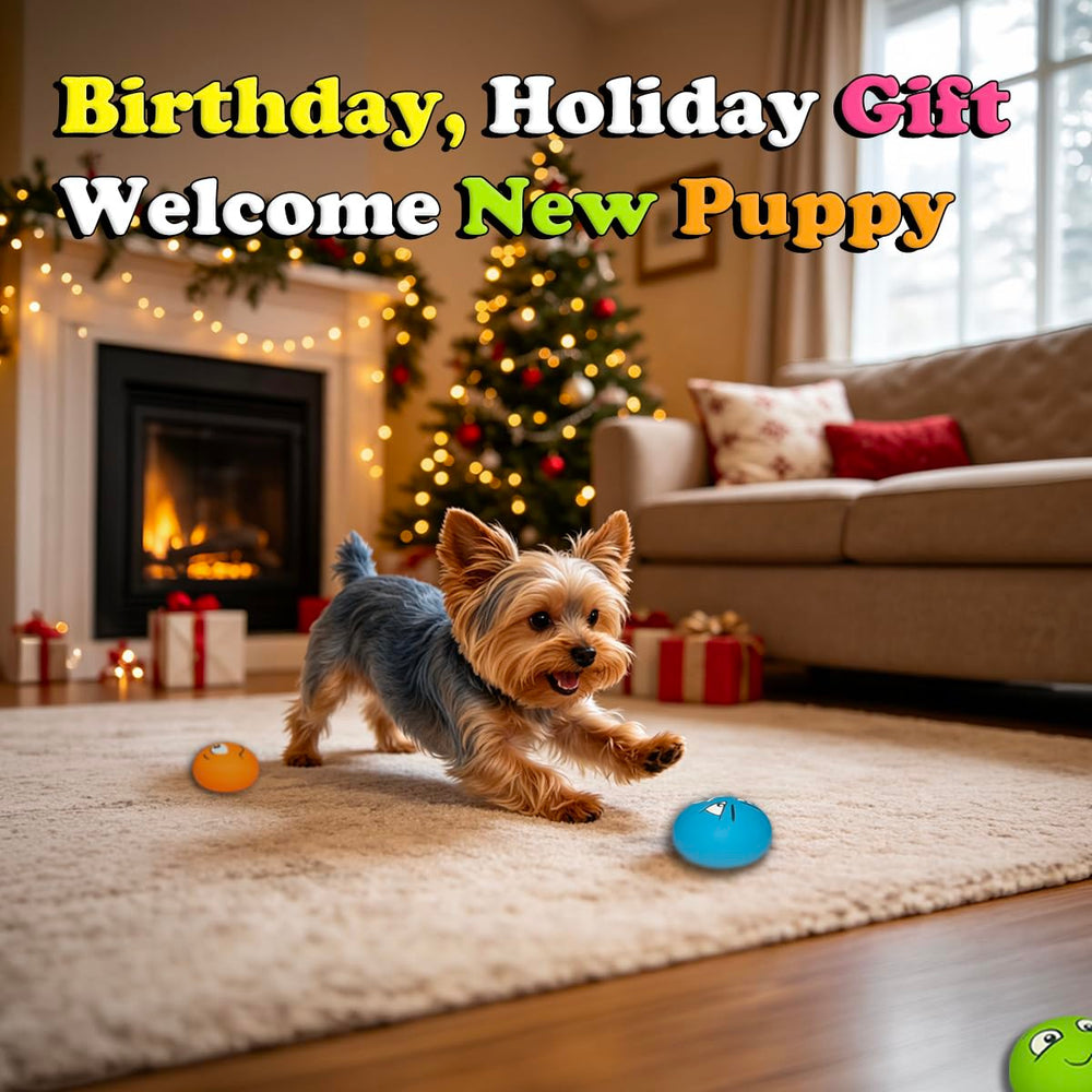 Balle PUPATTIC présentée en emballage cadeau, idée de présent pour chiot