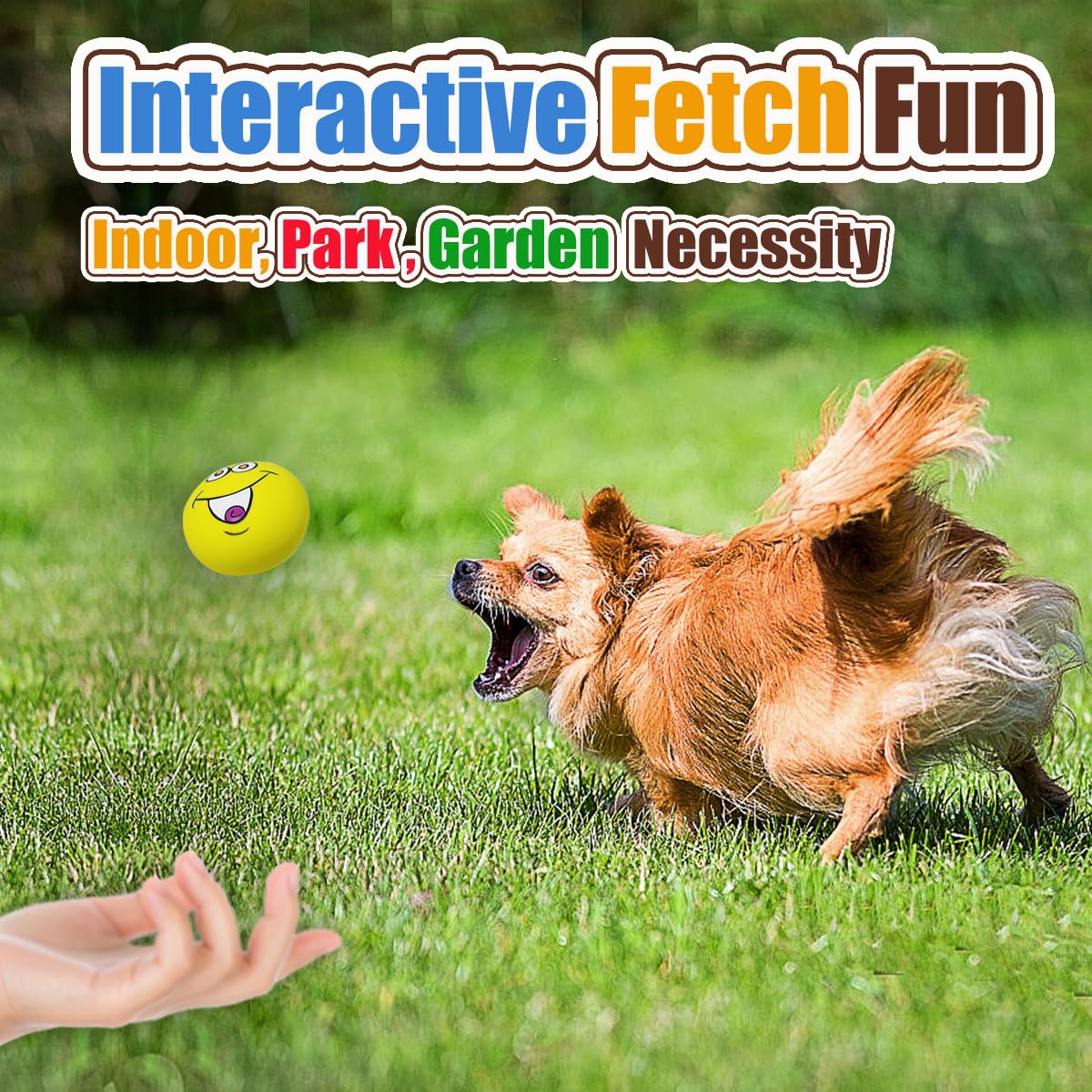 PUPATTIC chiot jouant avec la balle stimulation et sifflet attractif
