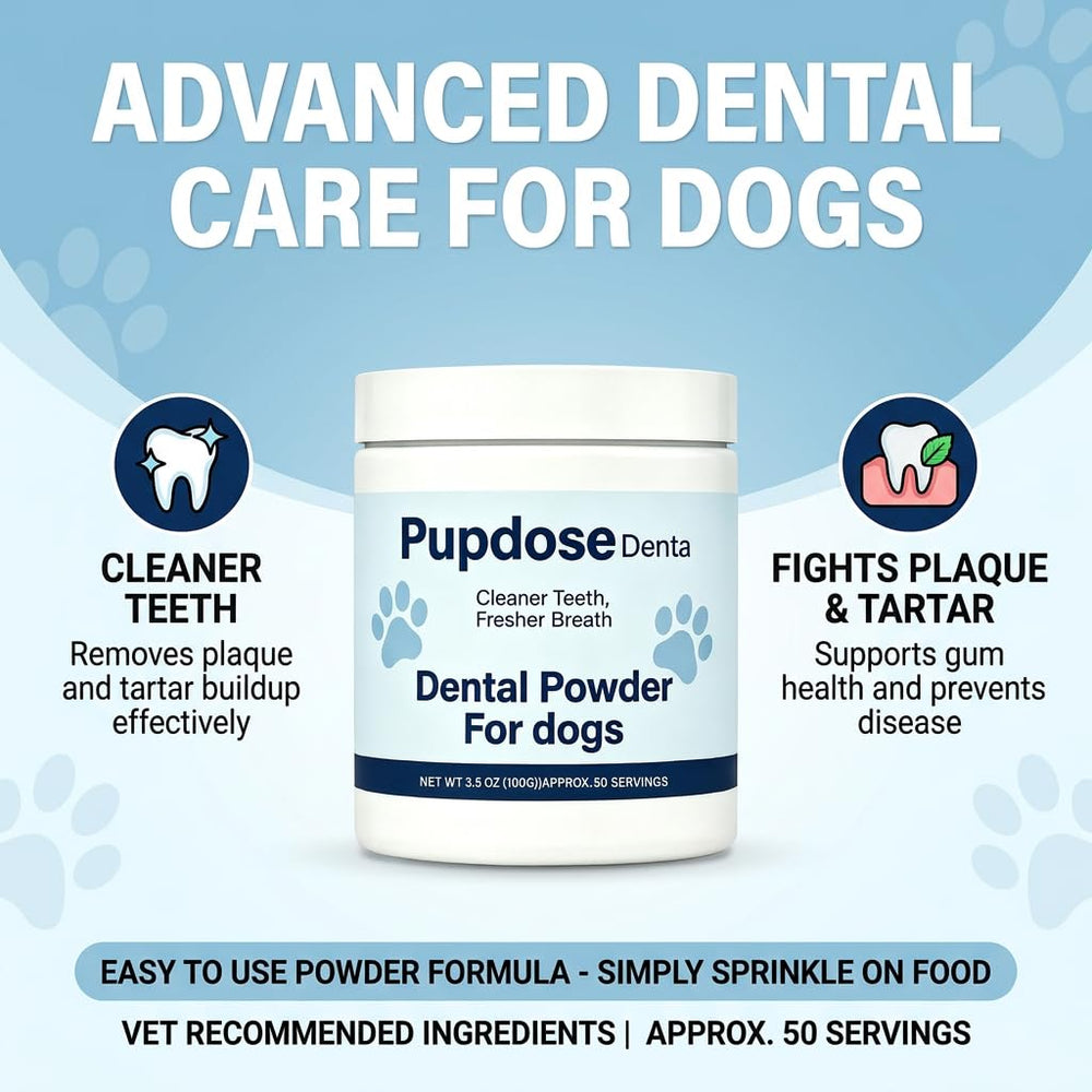 Pupdose Dental mesure sur balance illustrant la portion recommandée à 2 g