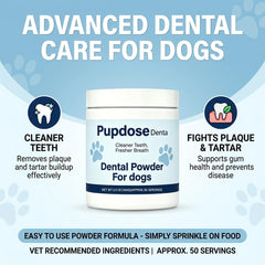 Pupdose Dental mesure sur balance illustrant la portion recommandée à 2 g