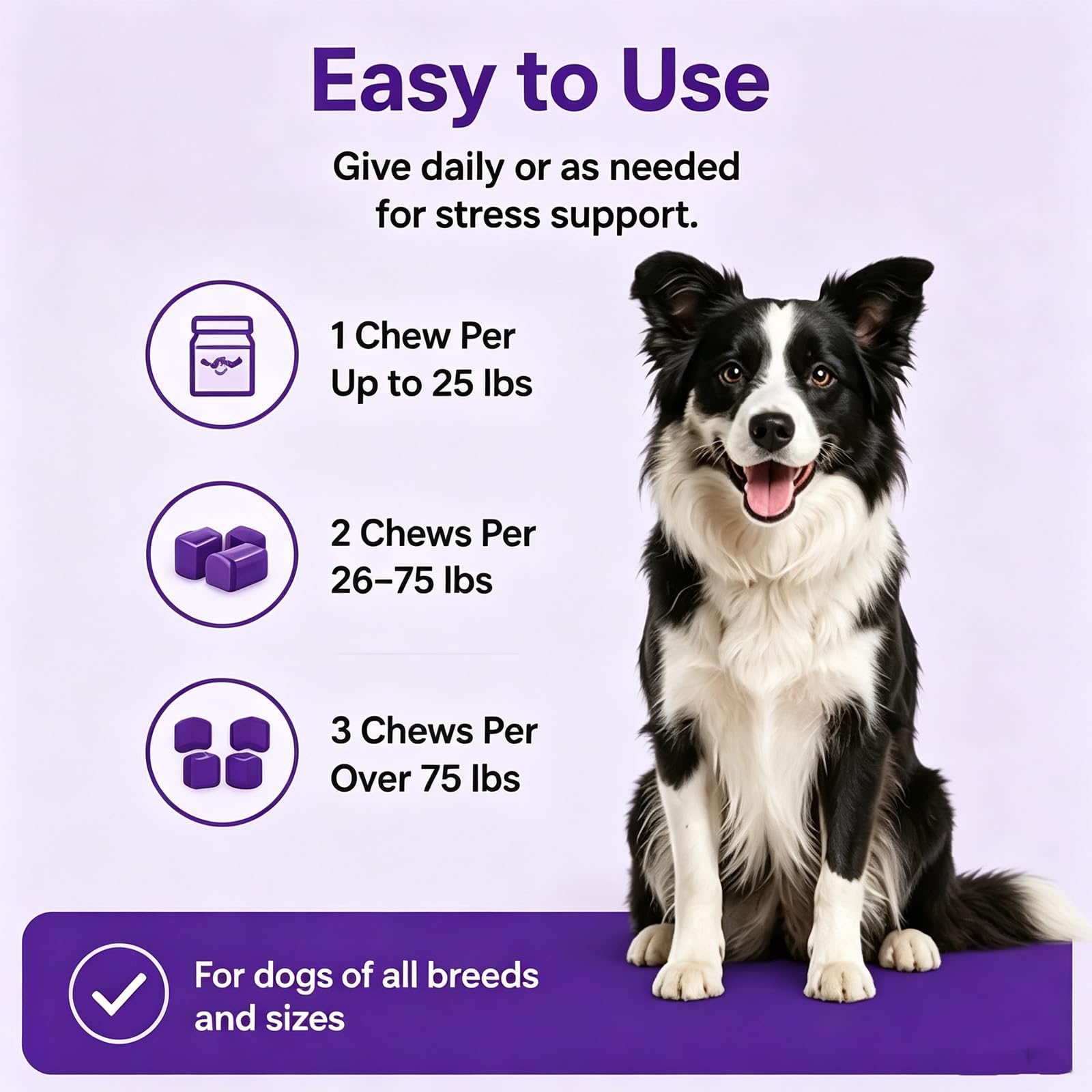 PupDose ingrédients naturels présentés pour transparence et qualité