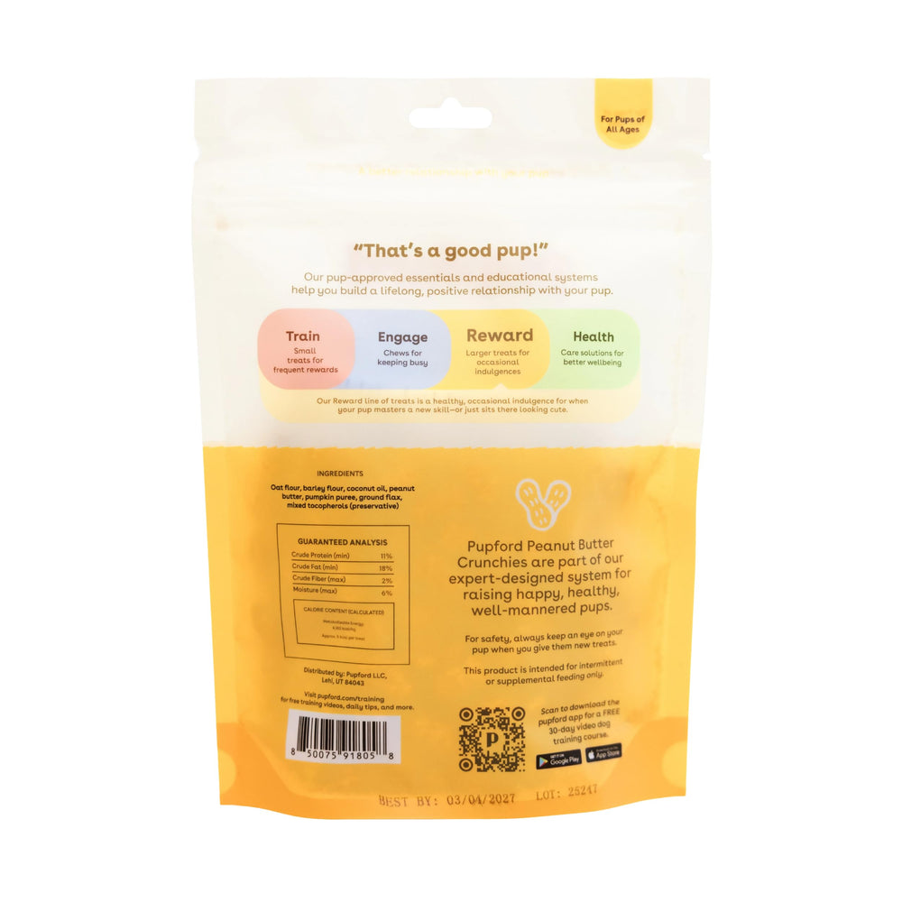 Pupford friandises en situation lifestyle chien heureux recevant une récompense
