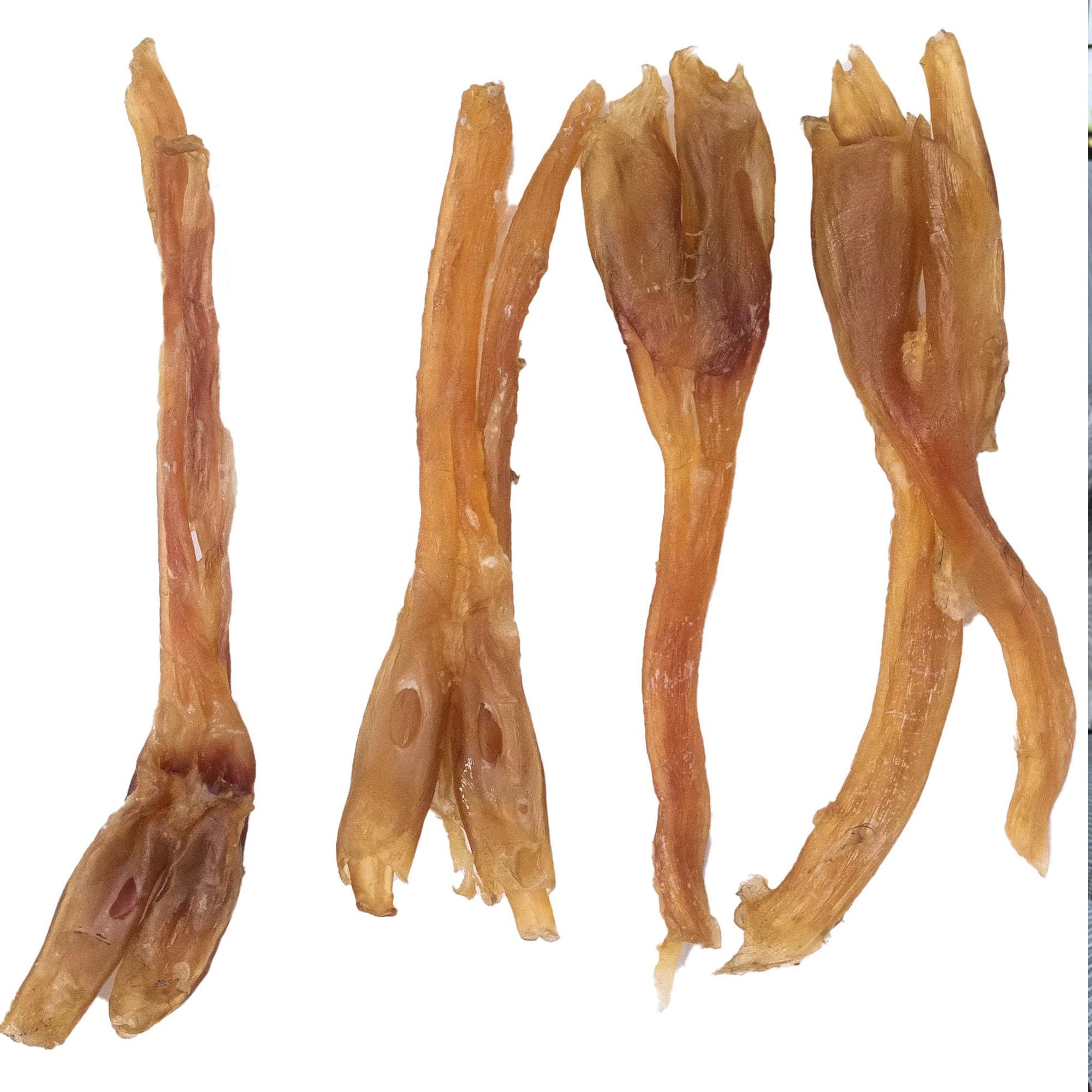 Comparaison de taille Pupford tendon à côté d'une patte, avantage portion adaptée