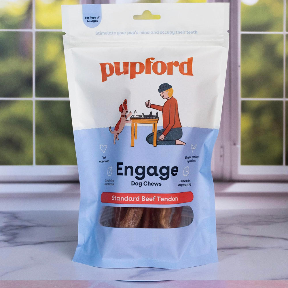 Scène de salon avec chien heureux et tendon Pupford, avantage occupation longue