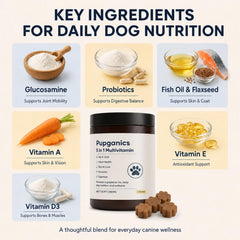 Pupganics chien mange friandise illustrant acceptation et prise quotidienne simple