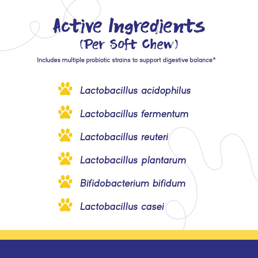 PupGrade ingrédients myrtille et potiron en gros plan pour antioxydants