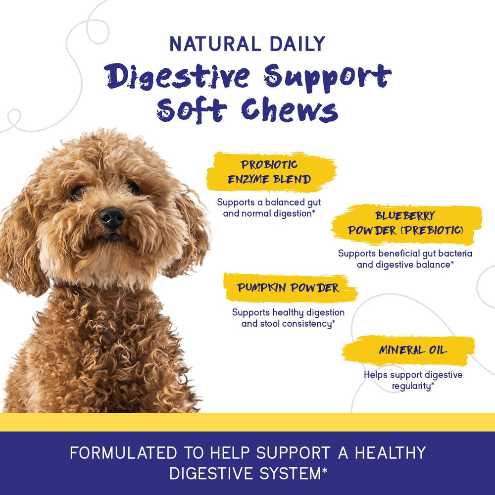 PupGrade produit en situation : récompense donnée à un chien dans niche
