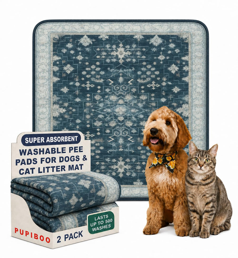 PUPIBOO vue avant du packaging montrant l'ensemble et bénéfice protection