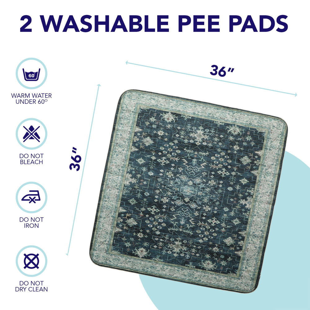 PUPIBOO comparaison de taille montrant échelle et adaptabilité domestique
