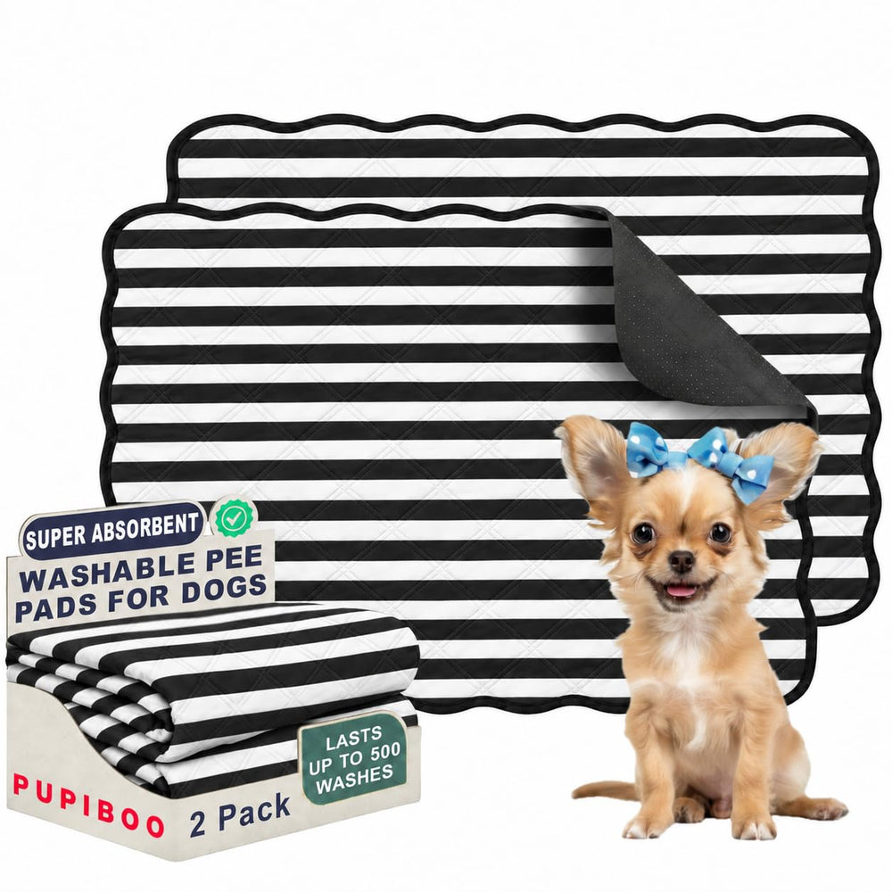 PUPIBOO face avant montrant le design élégant et protection durable