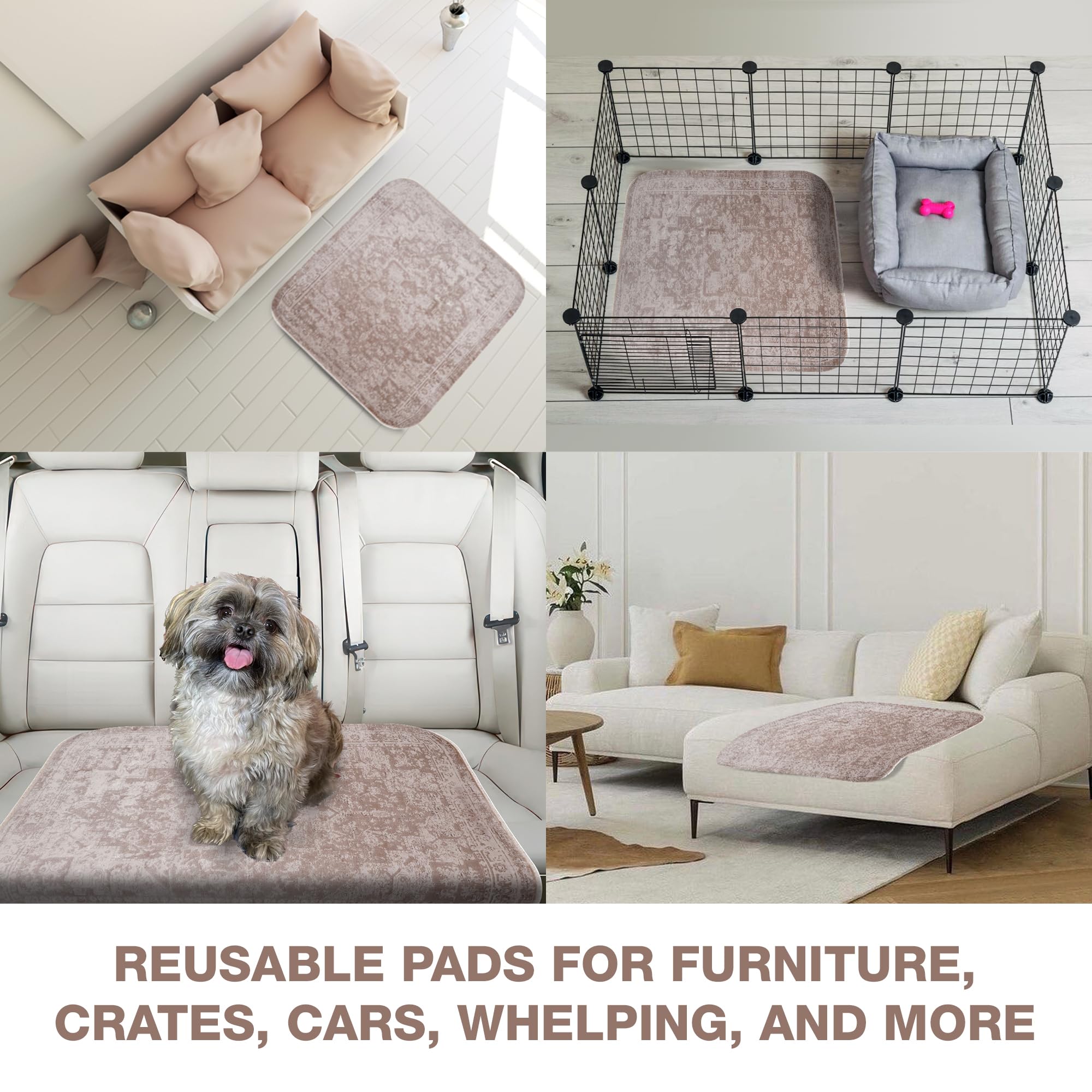 PUPIBOO tapis à l'échelle d'un chien montrant grande couverture