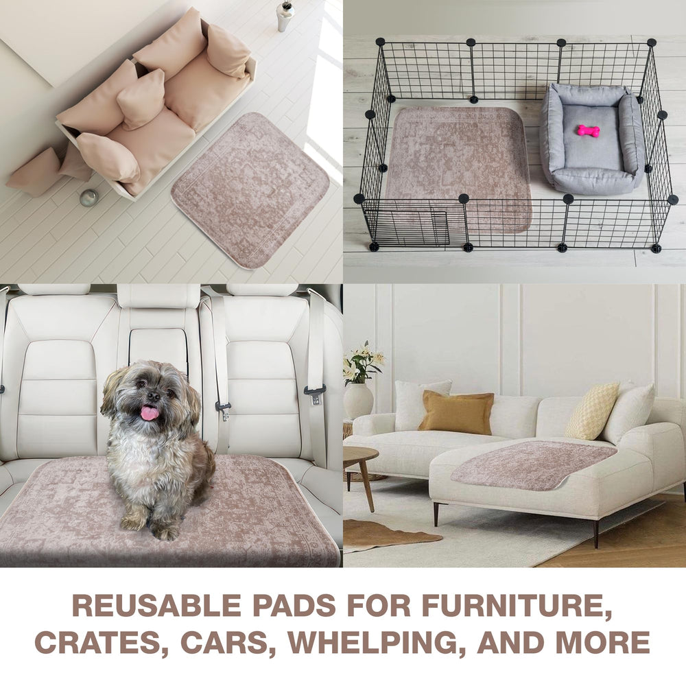 PUPIBOO tapis à l'échelle d'un chien montrant grande couverture