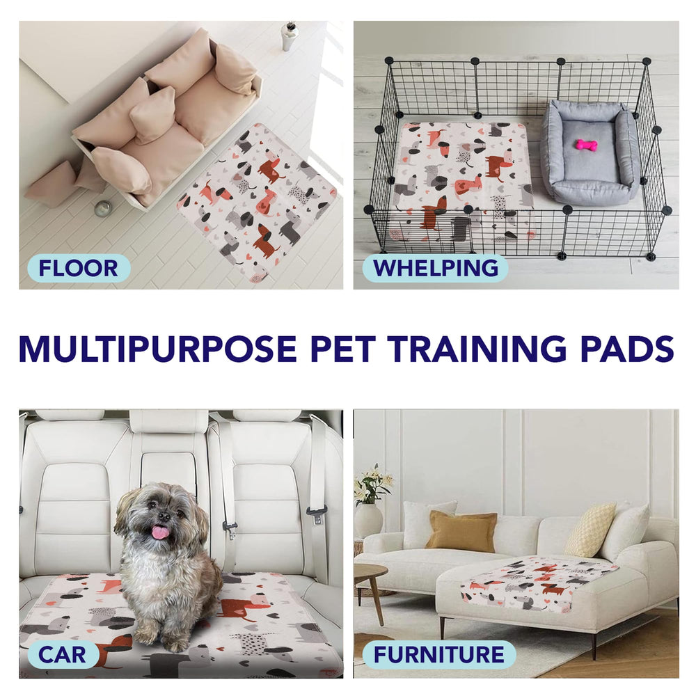 PUPIBOO comparaison de taille illustrant échelle et dimensions