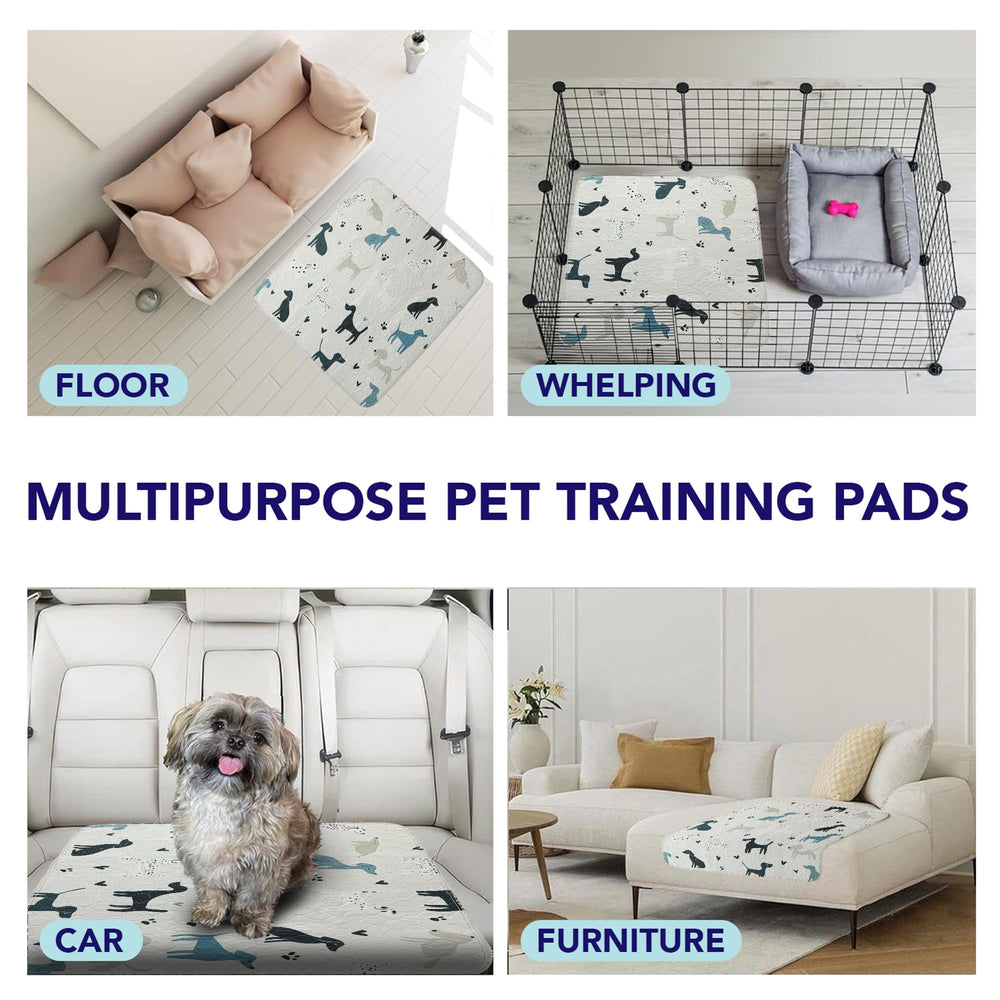 PUPIBOO chiot utilisant le tapis pour apprentissage hygiénique