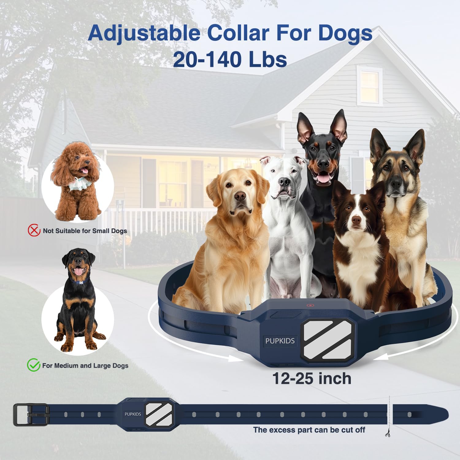 PUPKIDS collier porté sur chien illustrant l'échelle de taille et l'ajustement