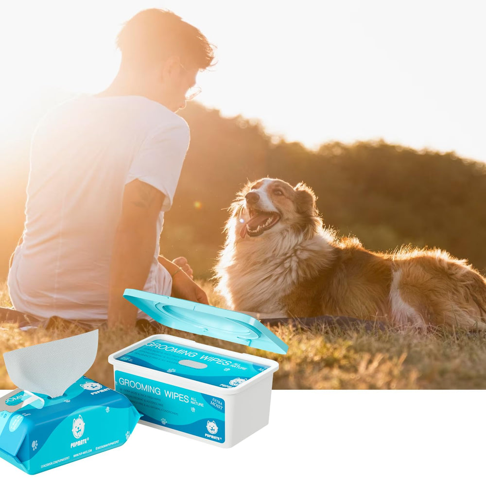 PUPMATE scène de vie : sortie en parc, lingettes pratiques en promenade