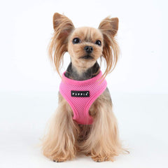 Puppia boucle à dégagement rapide démontrant mise en place facile