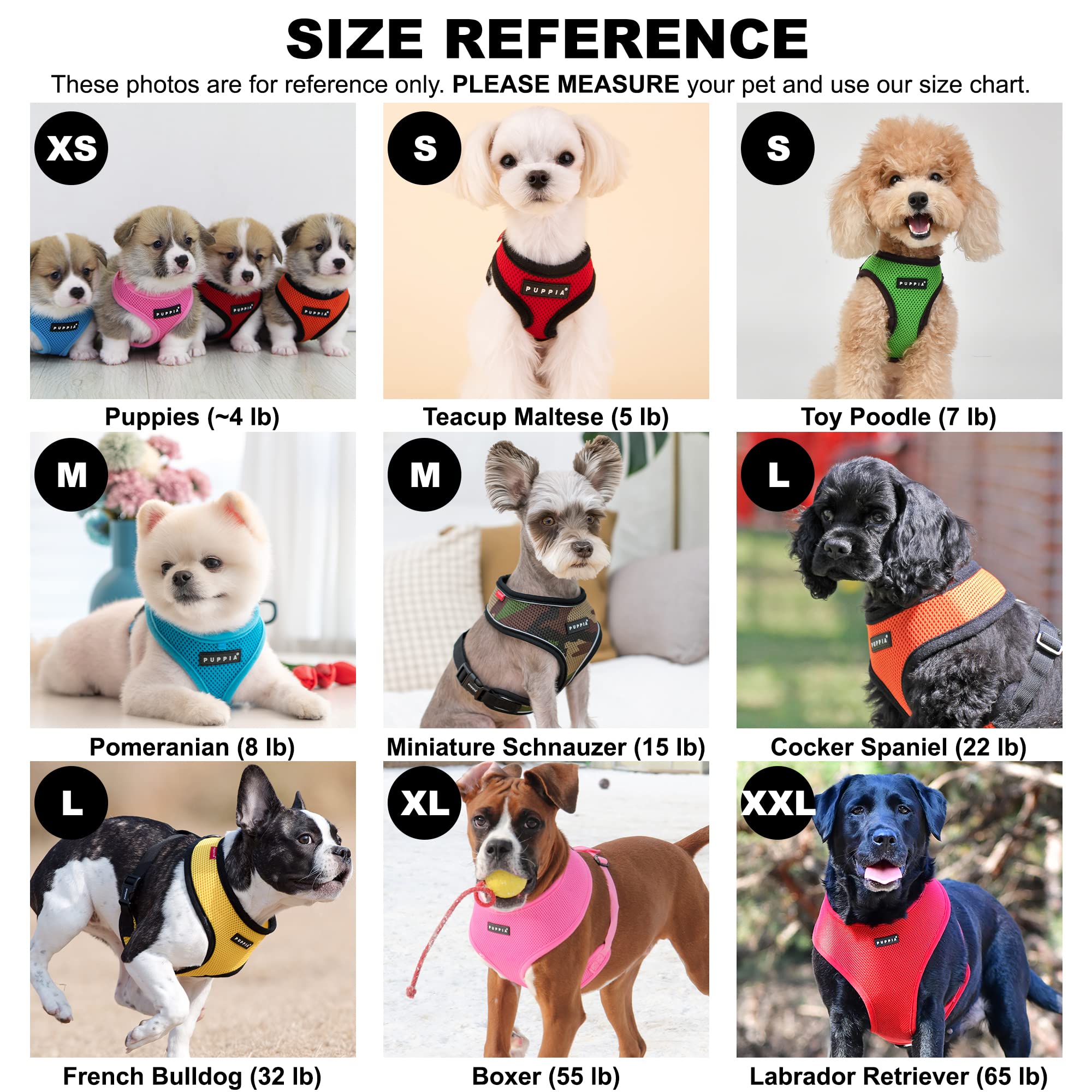 Puppia comparaison taille Medium illustrant dimensions et ajustement recommandé