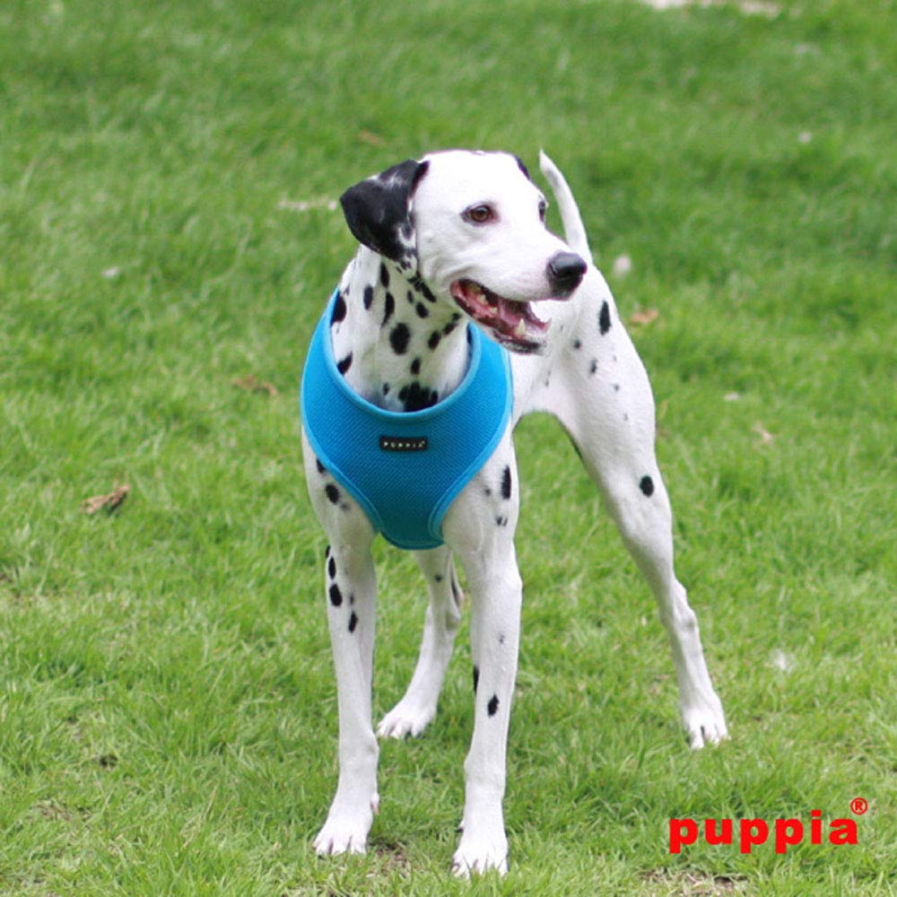 Puppia boucle à dégagement rapide facilitant mise en place sécurisée