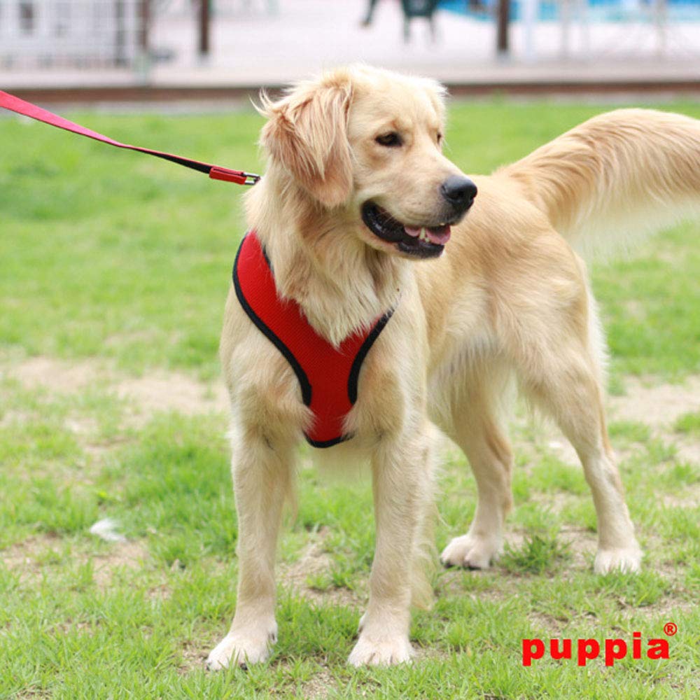 Puppia harnais rouge gros plan mesh respirant pour confort