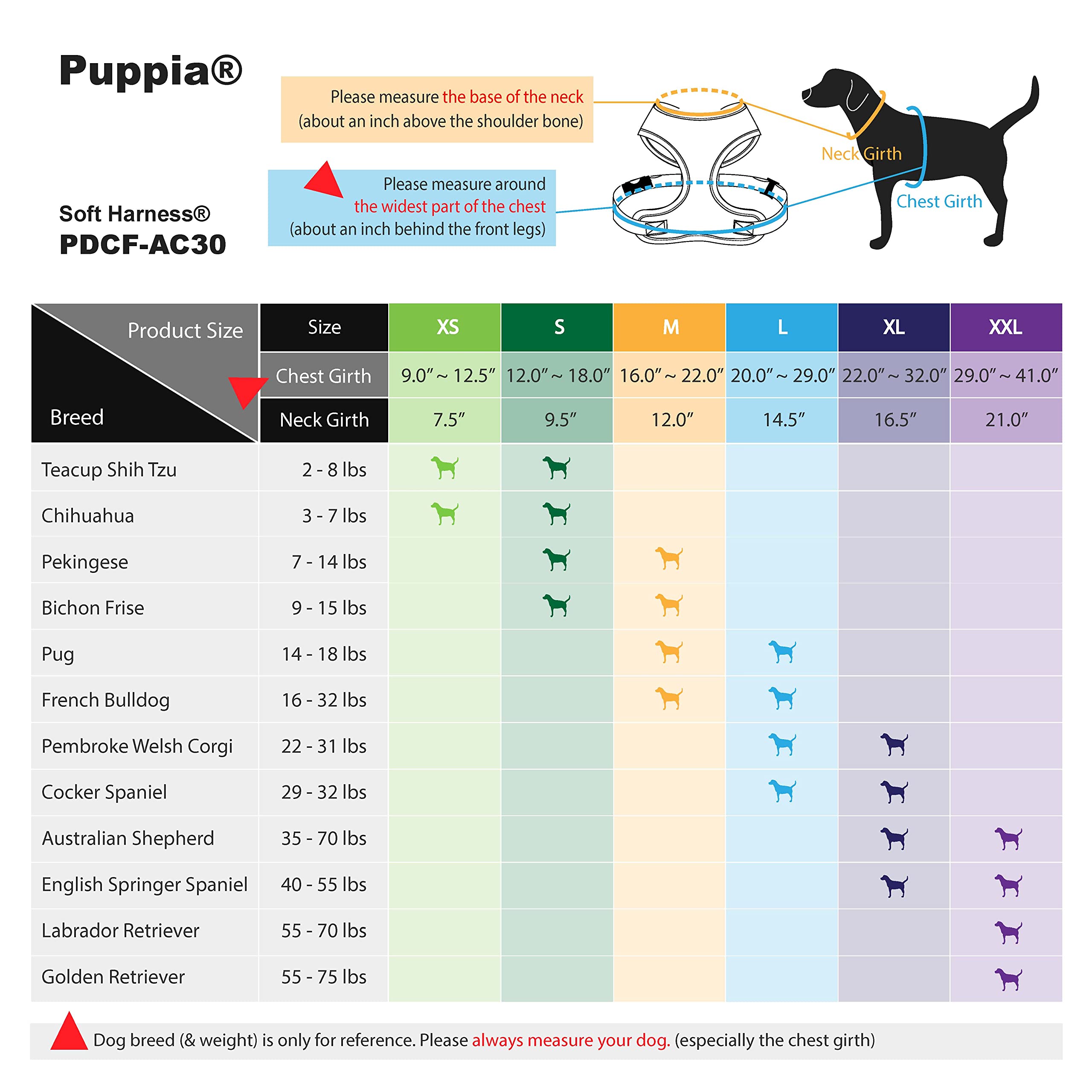 Puppia harnais porté lors d’une promenade pour maintien équilibré