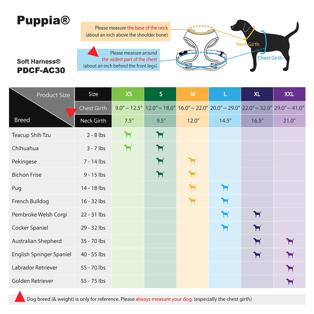 Puppia harnais porté lors d’une promenade pour maintien équilibré