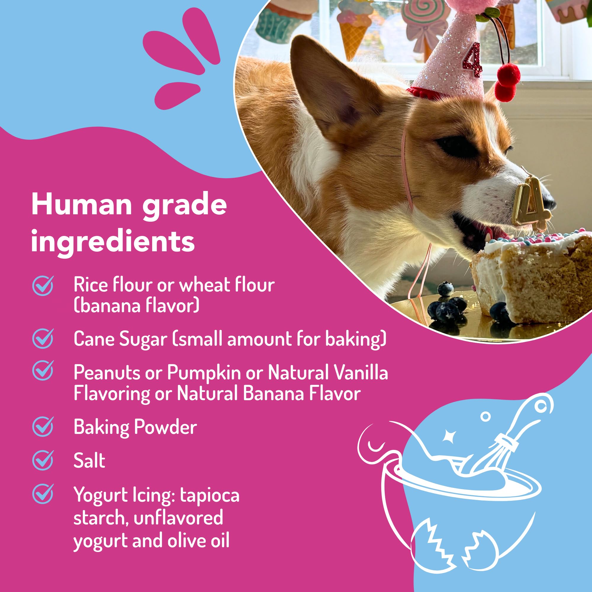 Puppy Cake chien qui goûte en contexte lifestyle montrant plaisir et sécurité