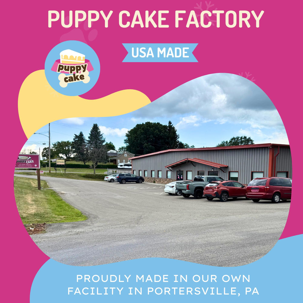Puppy Cake chiot festif appréciant le gâteau en fête