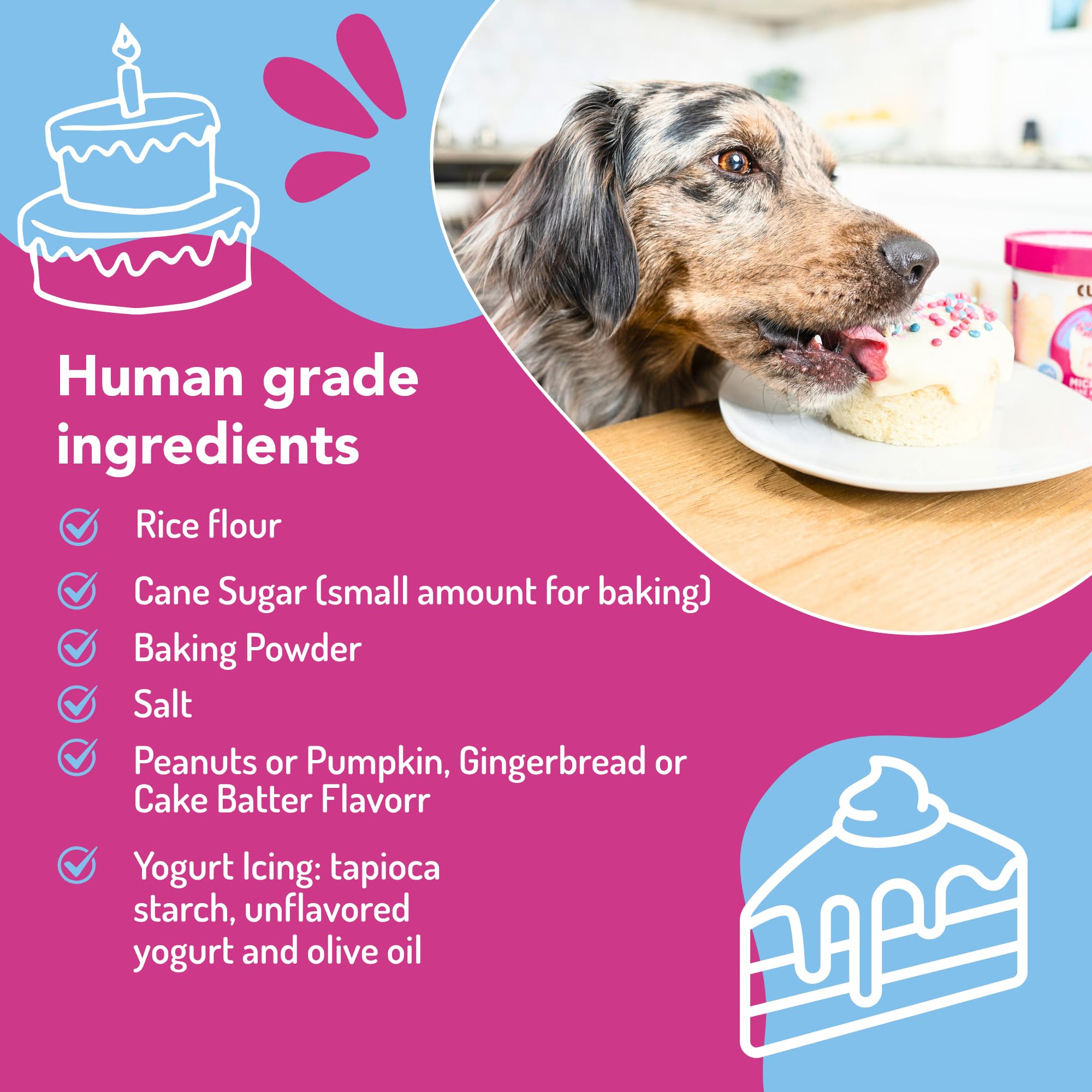 Puppy Cake glaçage et vermicelles détail montrant décoration simple et propre