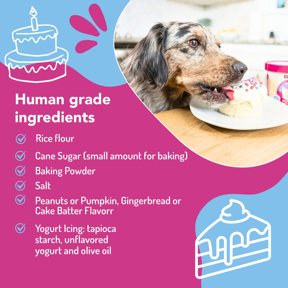 Puppy Cake glaçage et vermicelles détail montrant décoration simple et propre