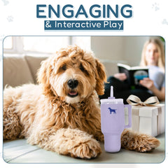 PUPROAR Pup Cup taille à côté d'une patte, dimension maniable pour chien