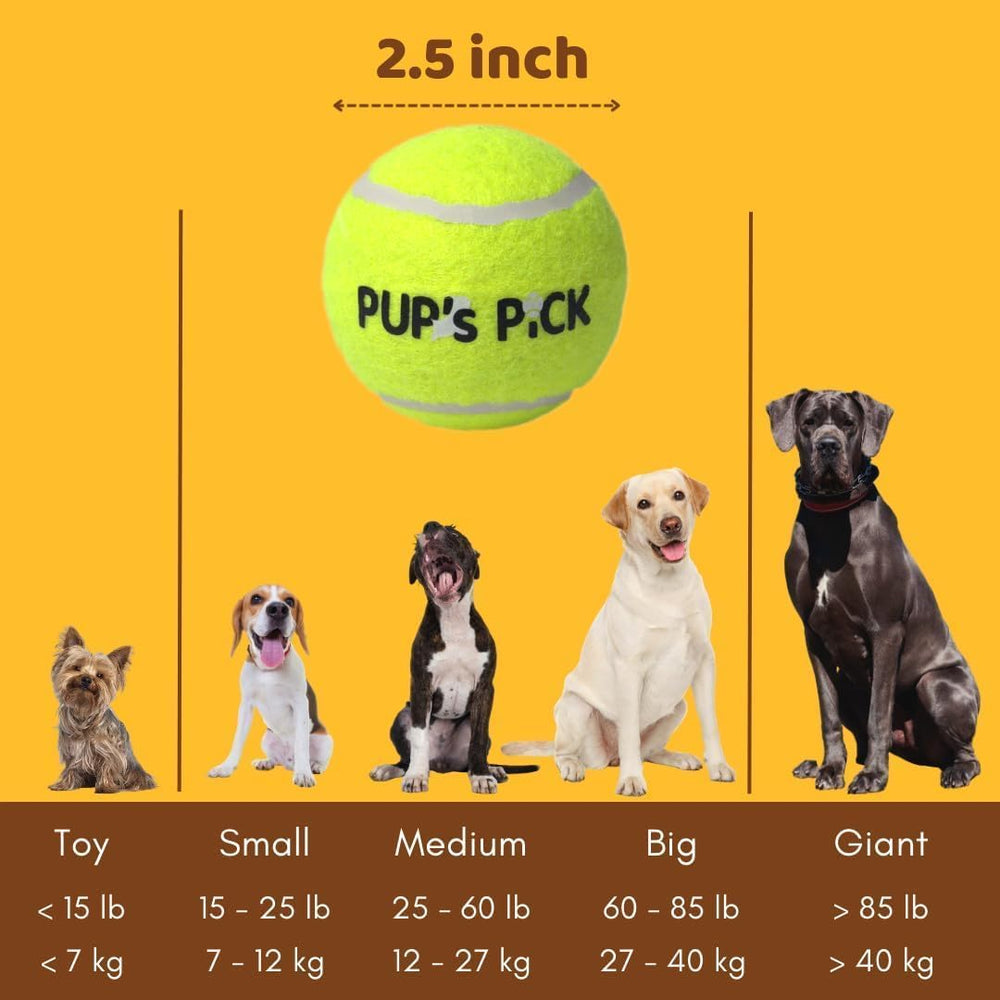 Pup's Pick balles sur gazon au parc encourageant activité extérieure