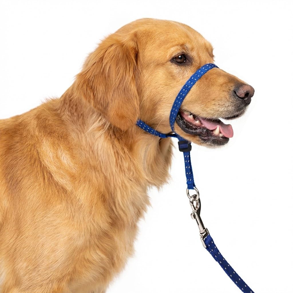 PupSensei vue avant du headcollar pour contrôle confortable