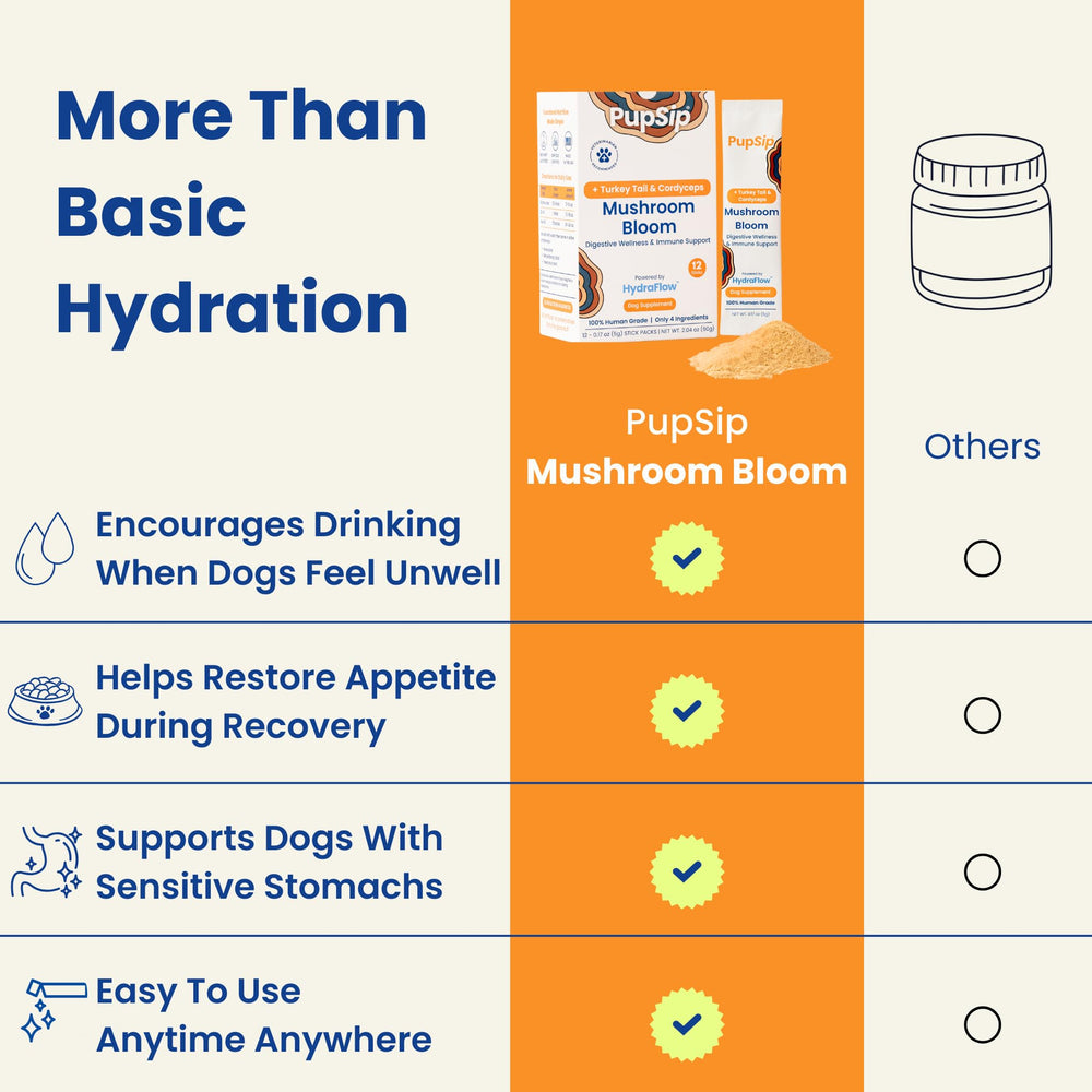 PupSip chiot buvant solution hydratante améliorant prise de liquides après malaise