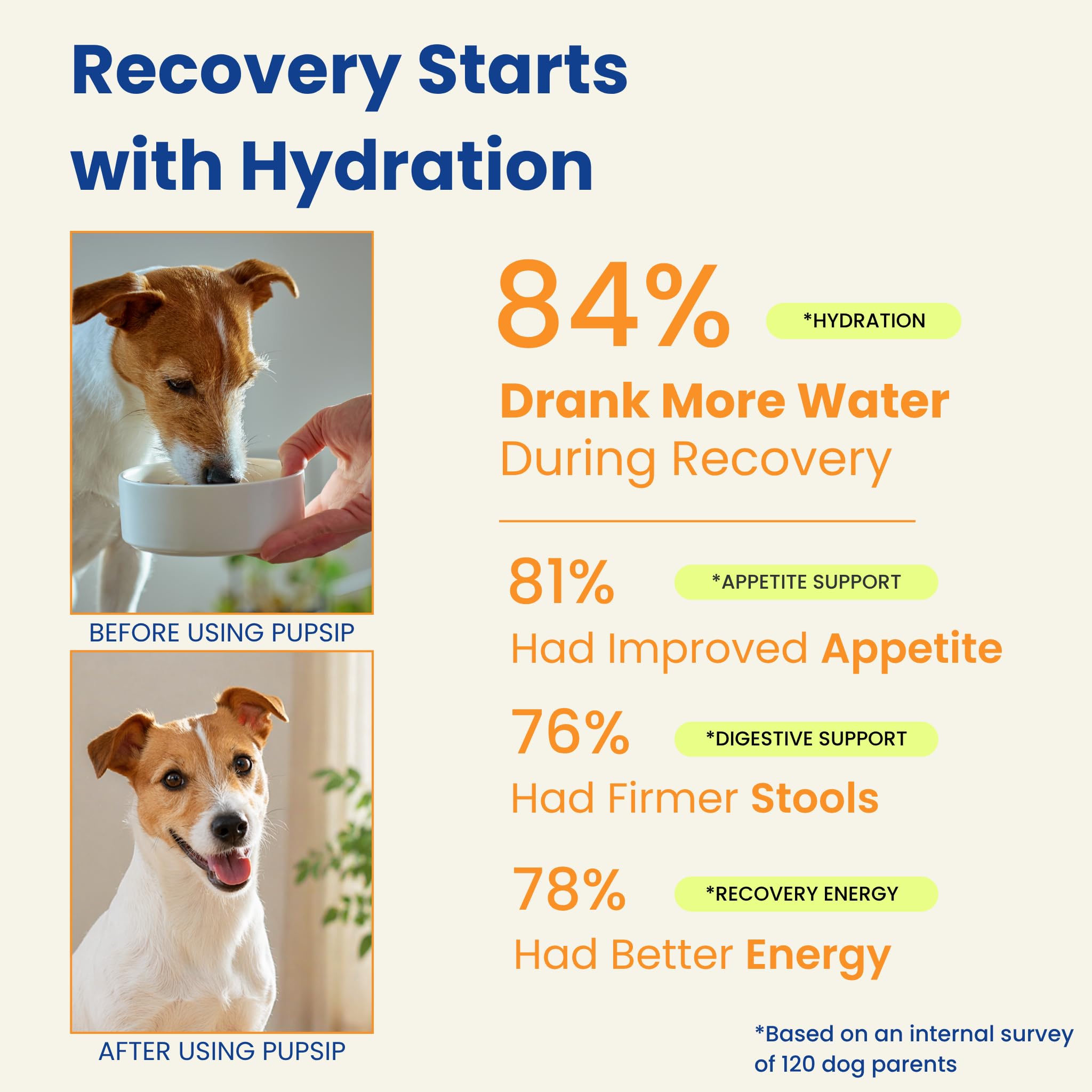 PupSip mélange dissous dans l'eau rendant la boisson plus appétente pour chien déshydraté